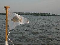 Seizoen 2006